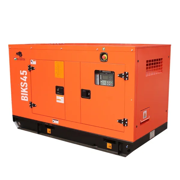 Generator de curent Bisonte BIKS45, insonorizat, Putere maxima 44kVA 400V ATS inclus - Image 6