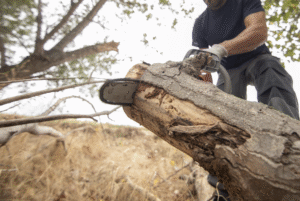 ce benzina se foloseste la drujba