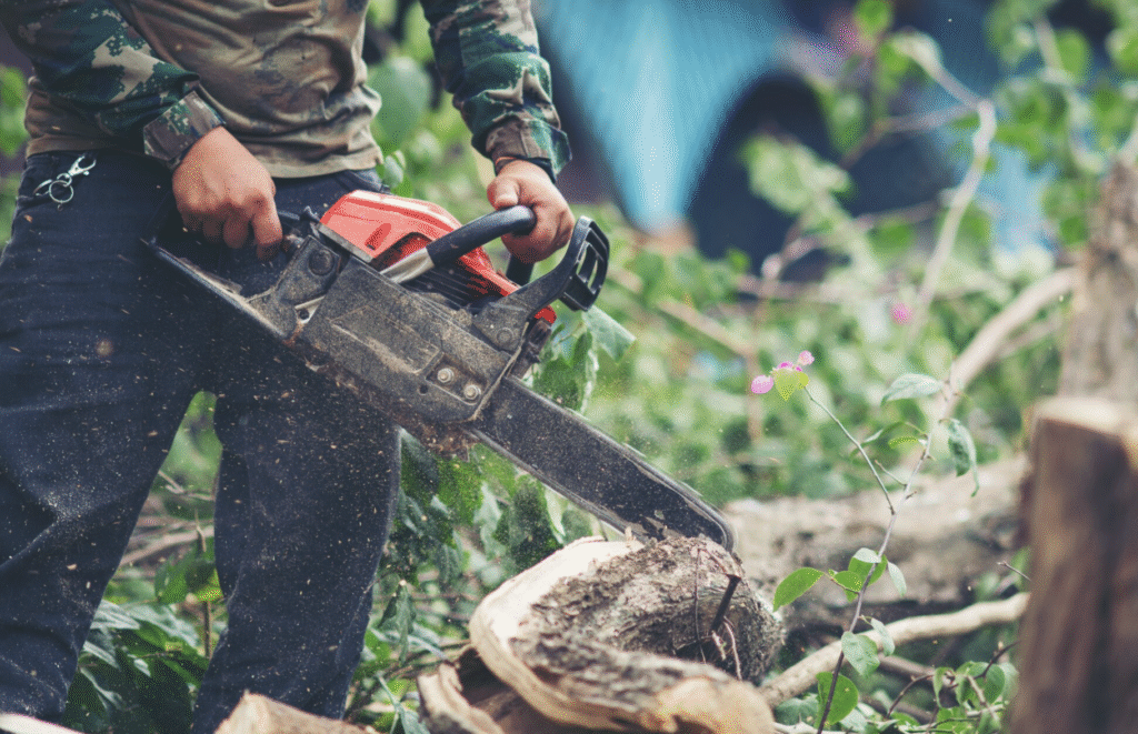 Ce benzina se foloseste la drujba? | Travandi.ro