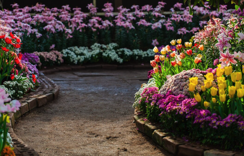 idei amenajare gradina cu flori si piatra