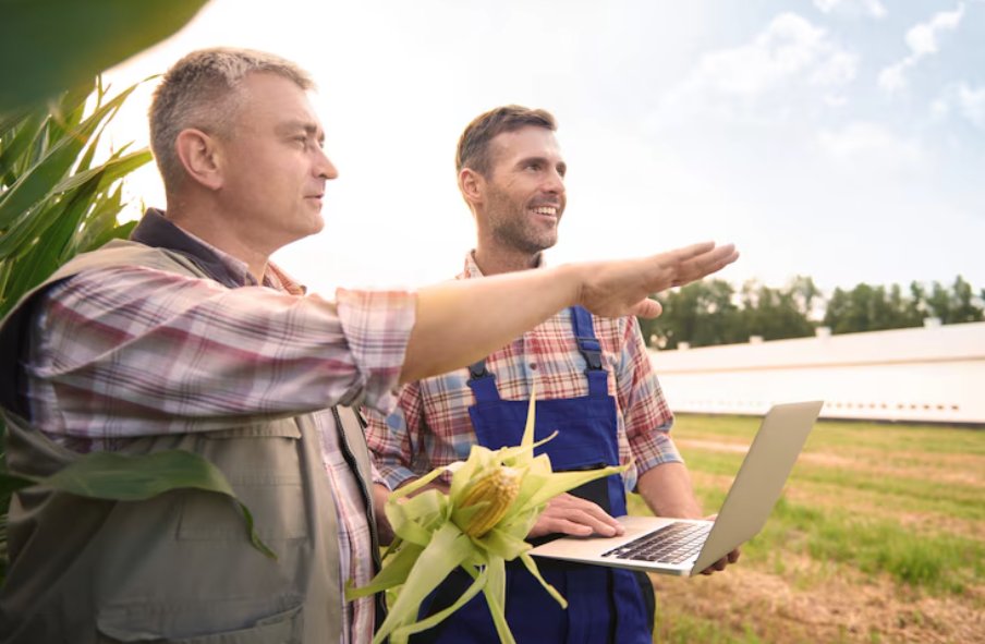 afaceri agricole