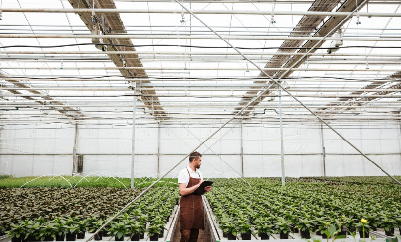 Generatorul nu scoate curent? Ghid complet | Travandi.ro