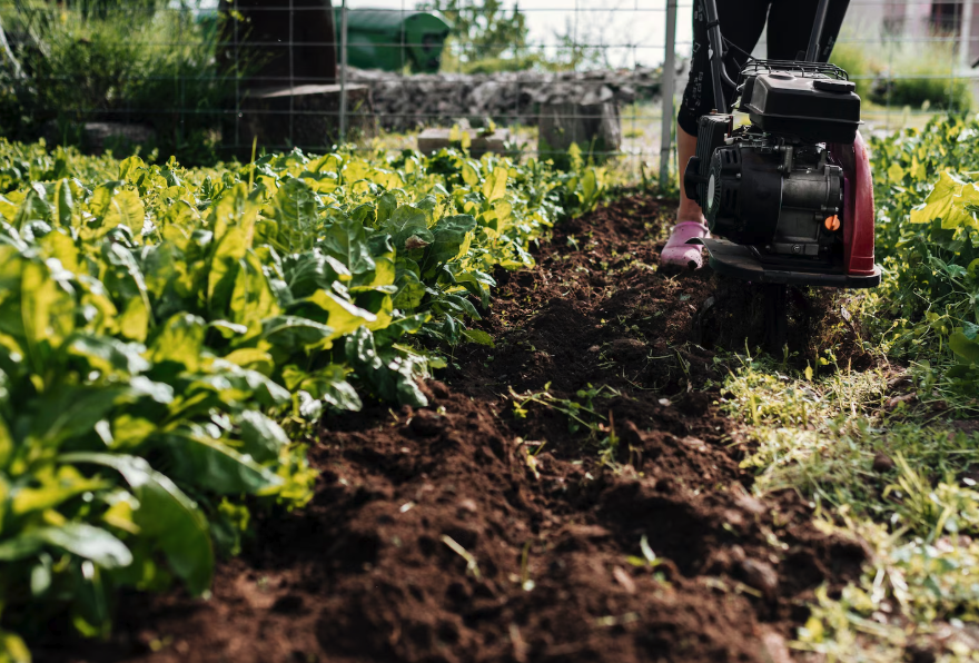 De ce se afumă bujia la motocultor? Diagnostic corect | Travandi.ro