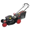 Masina de tuns gazonul autopropulsata BISONTE Agro Garden BTA-MTG550 motor benzina 3.5 cp