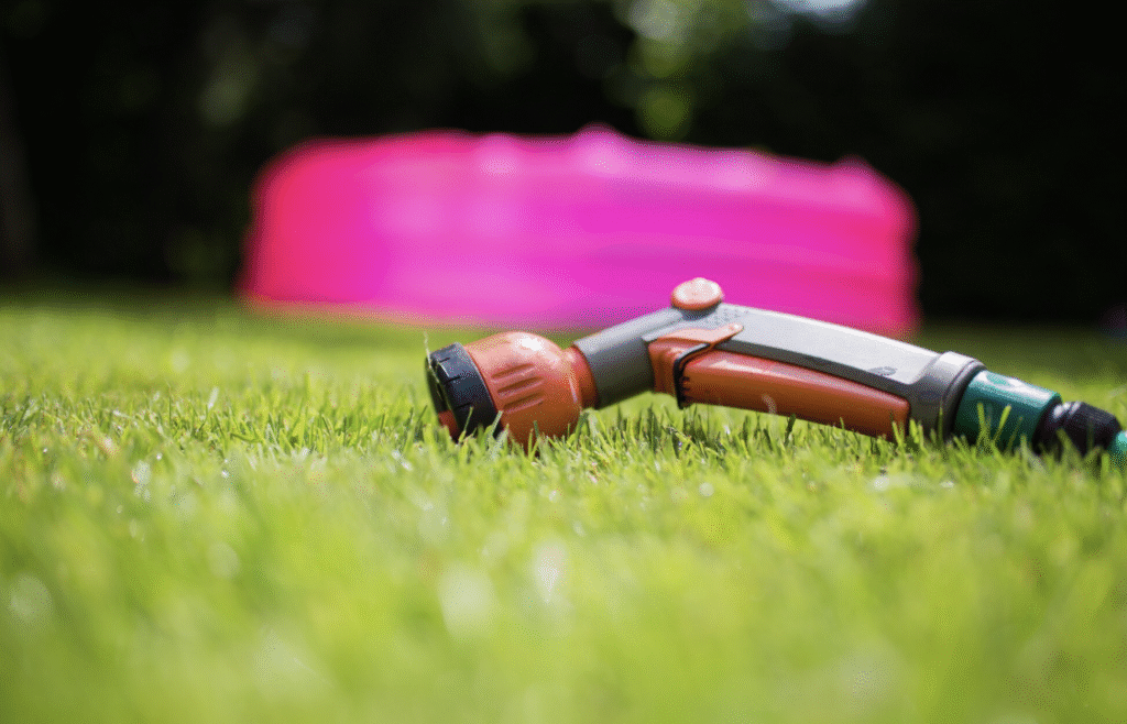 Fertilizare gazon: ghid pentru un covor verde tot anul | Travandi.ro