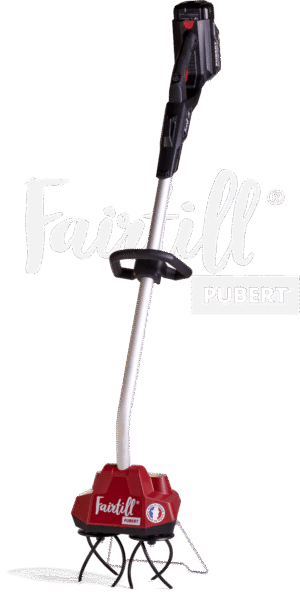 Sapatoare electrica Pubert Fairtill cu baterie 40V-2Ah si incarcator