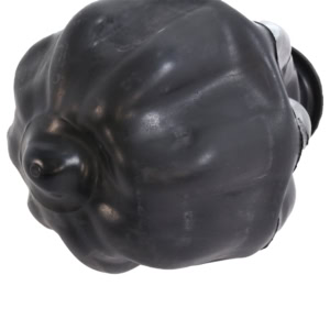 Membrana EPDM Wasserkonig MEM50EU, pentru butelii de hidrofor 35/50 litri | Travandi.ro
