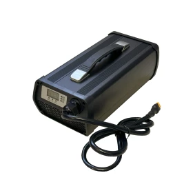 Incarcator RAYMO Standard Charger 58V 15A pentru acumulatori RAYMO, incarcare peste noapte